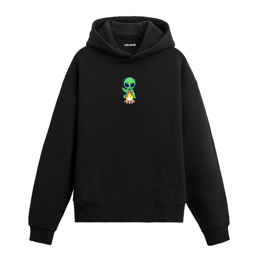 Mysterious Visitor Hoodie