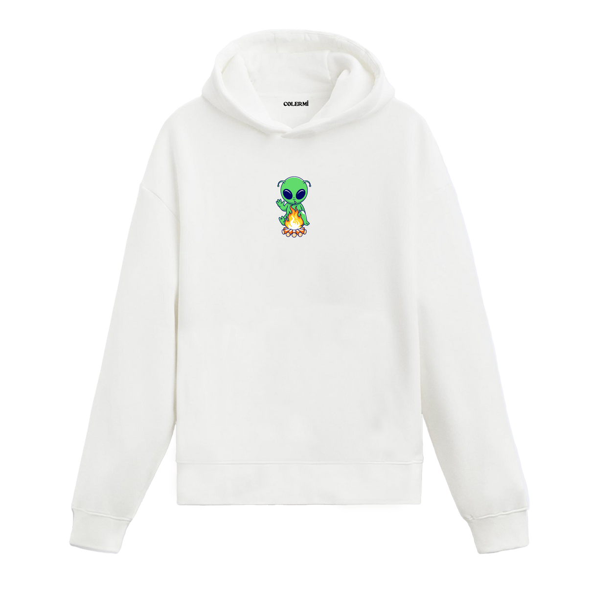 Mysterious Visitor Hoodie