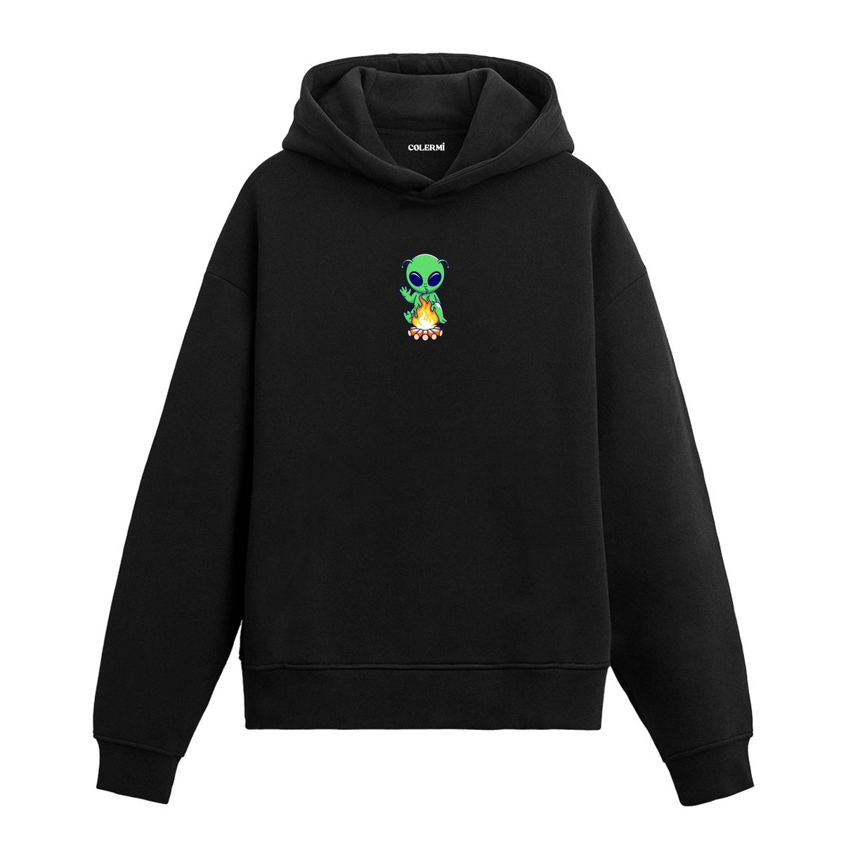 Mysterious Visitor Hoodie